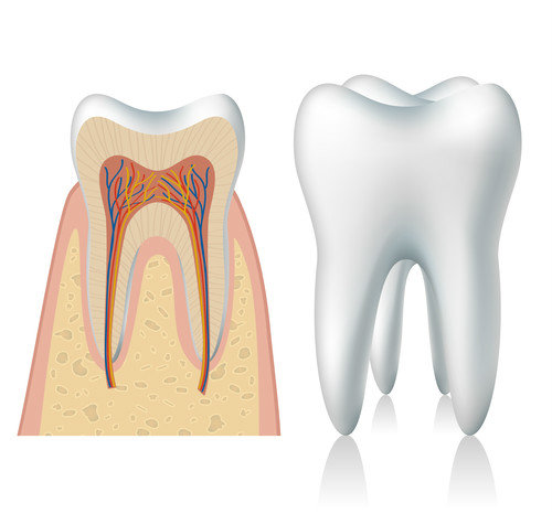 牙周炎与牙龈萎缩有什么关系?