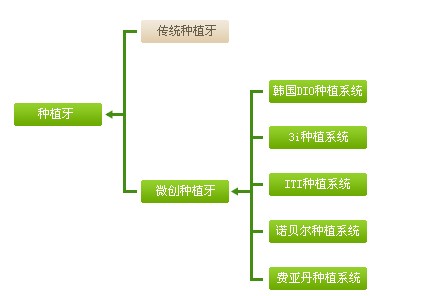 种植牙种类