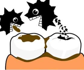 小孩子蛀牙不治疗有哪些危害? 小孩子蛀牙不治疗有哪些危害?