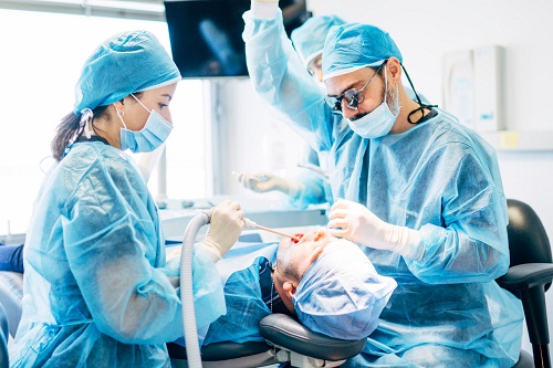 深圳杜牙根多少錢